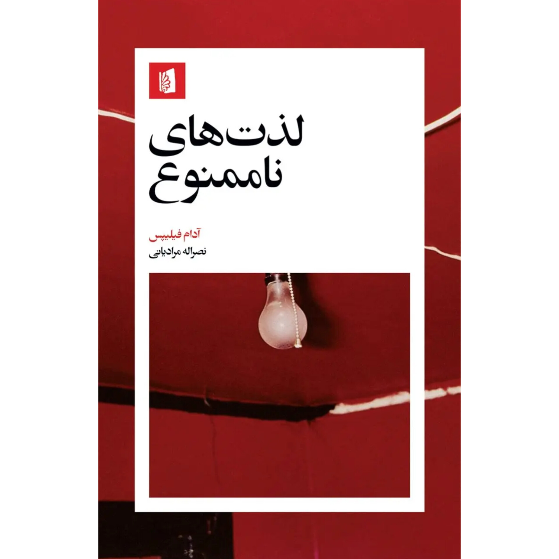 لذت های ناممنوع - آدام فیلیپس