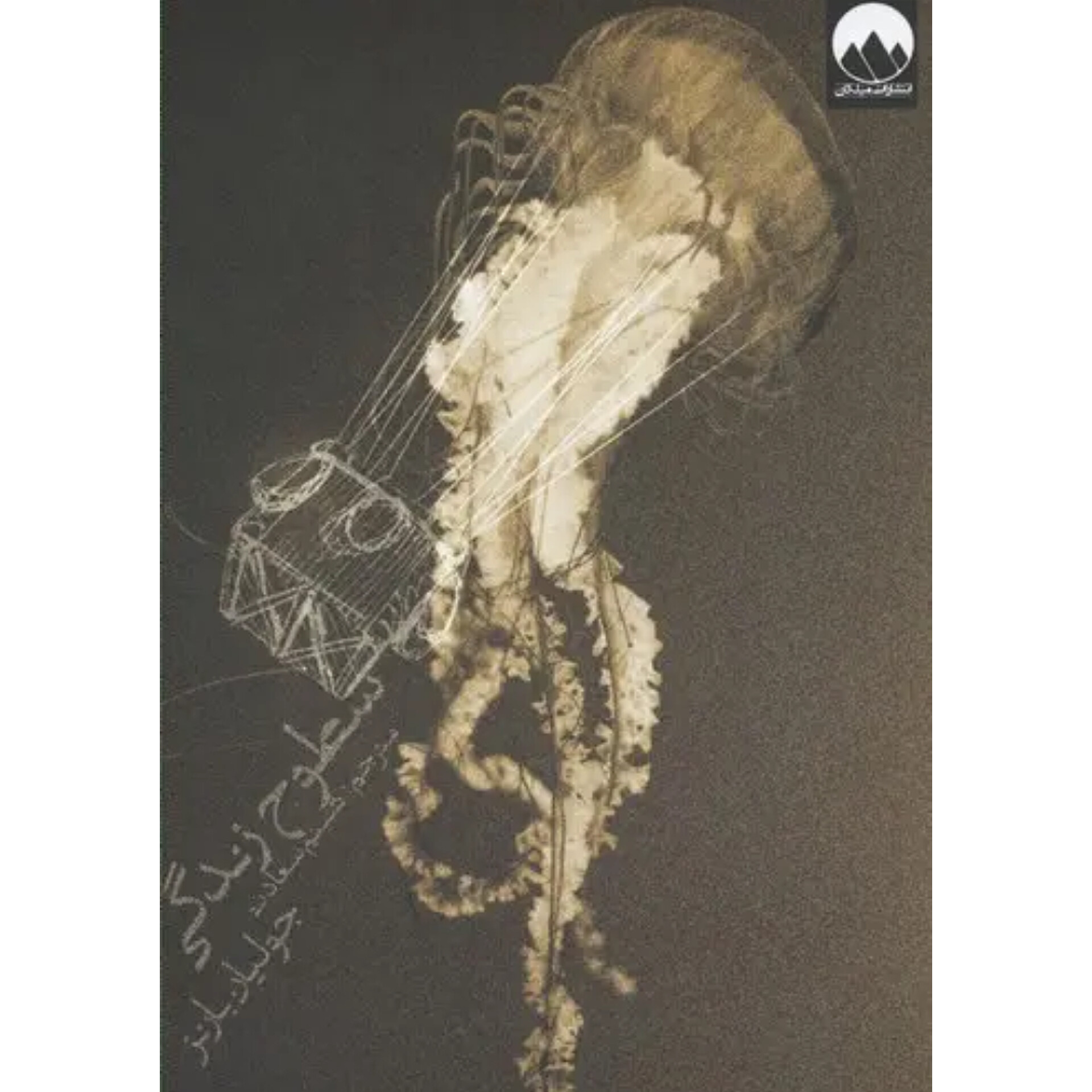 سطوح زندگی - جولین بارنز
