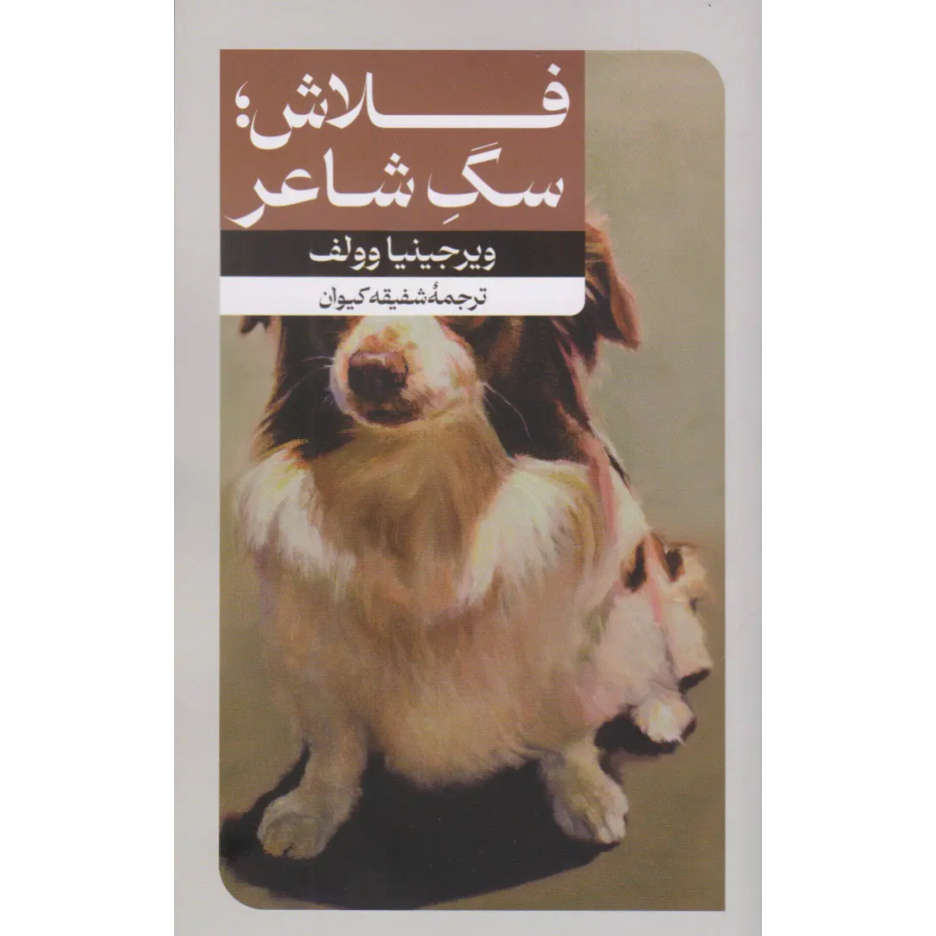 فلاش سگ شاعر - ویرجینیا وولف